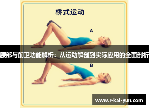 腰部与前卫功能解析:从运动解剖到实际应用的全面剖析 腰部与前卫功能解析:从运动解剖到实际应用的全面剖析