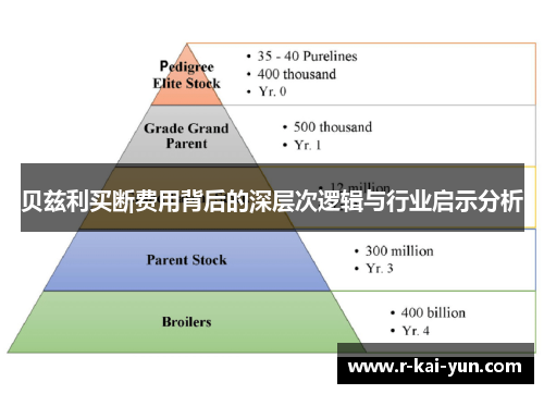 贝兹利买断费用背后的深层次逻辑与行业启示分析 贝兹利买断费用背后的深层次逻辑与行业启示分析